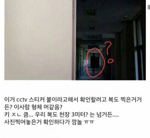 [공포] 이거 머 같음?