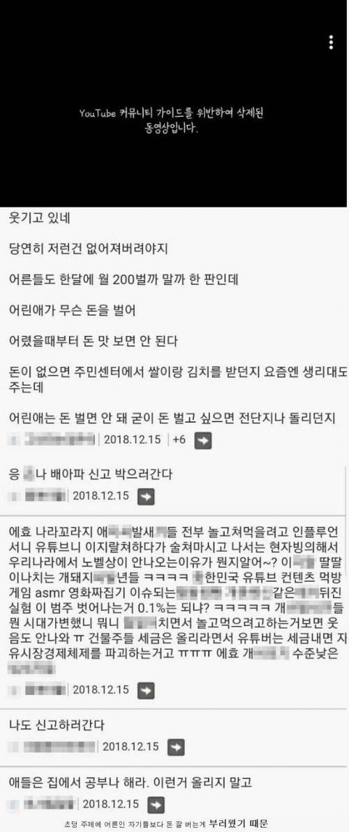 45만 구독자 '초등학생 유튜버' 가 신고 테러 당한 이유.jpg