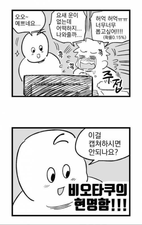 비오타쿠의 현명함.jpg