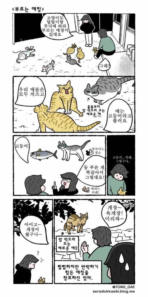 고양이 애칭.jpg