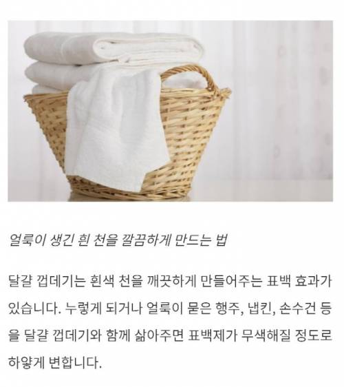 [스압] 세탁소에서 절대 알려주지 않는 10가지 비밀