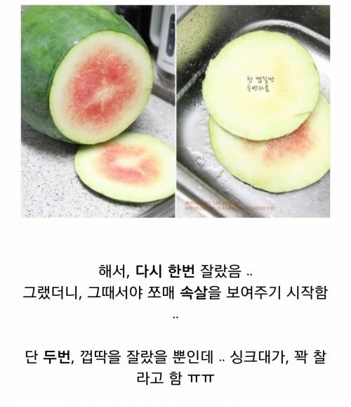 [스압] 전설의 엄청 비싼 무등산 수박 리뷰.jpg