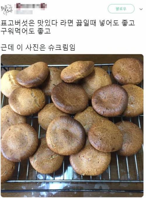 표고버섯은 맛있다.jpg