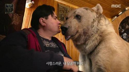 [스압] 곰을 키우는 부부.jpg