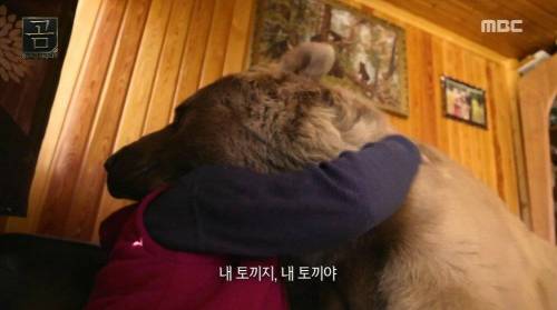 [스압] 곰을 키우는 부부.jpg