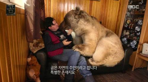 [스압] 곰을 키우는 부부.jpg