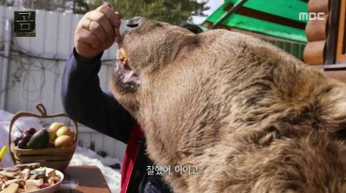 [스압] 곰을 키우는 부부.jpg