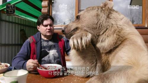 [스압] 곰을 키우는 부부.jpg