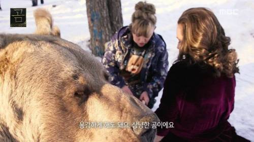 [스압] 곰을 키우는 부부.jpg