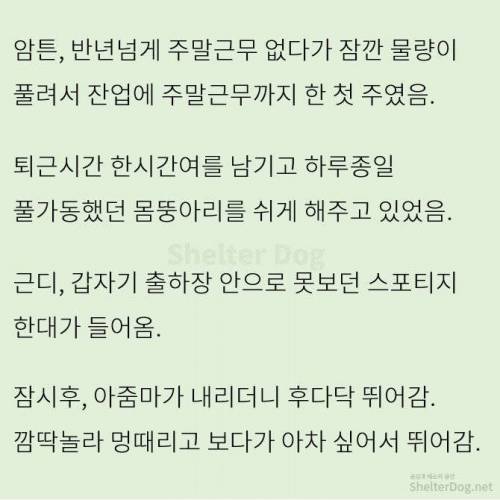 [스압] 무단주차 아지매 사이다 썰