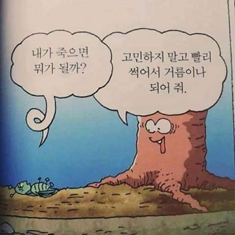 썩을대로 썩어버린 나무 인성.jpg