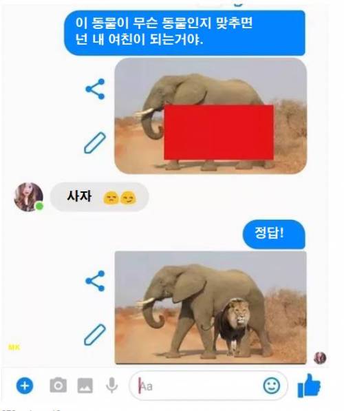 이 문제를 맞추면 내 여친 되는거야.jpg