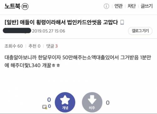 횡령하려다 사채하는 짤