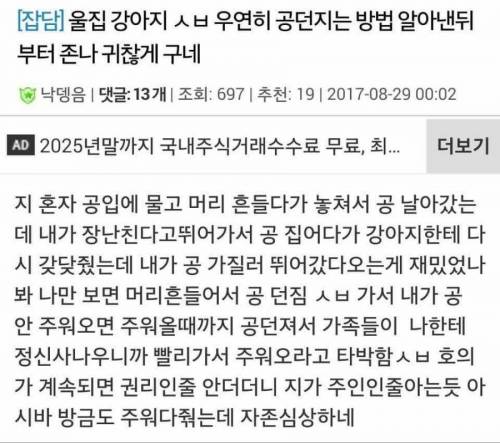 주인에게 공 주워오라는 강아지.jpg