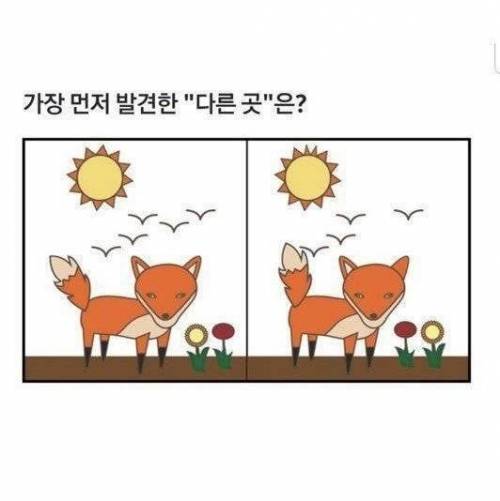 여우 심리테스트.jpg