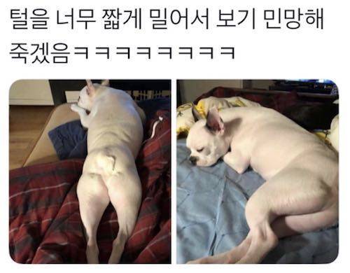 뜻밖의 섹시.jpg