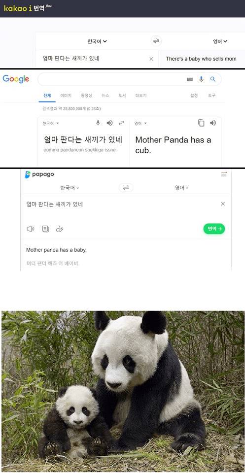 가망 없는 카카오 번역기.jpg