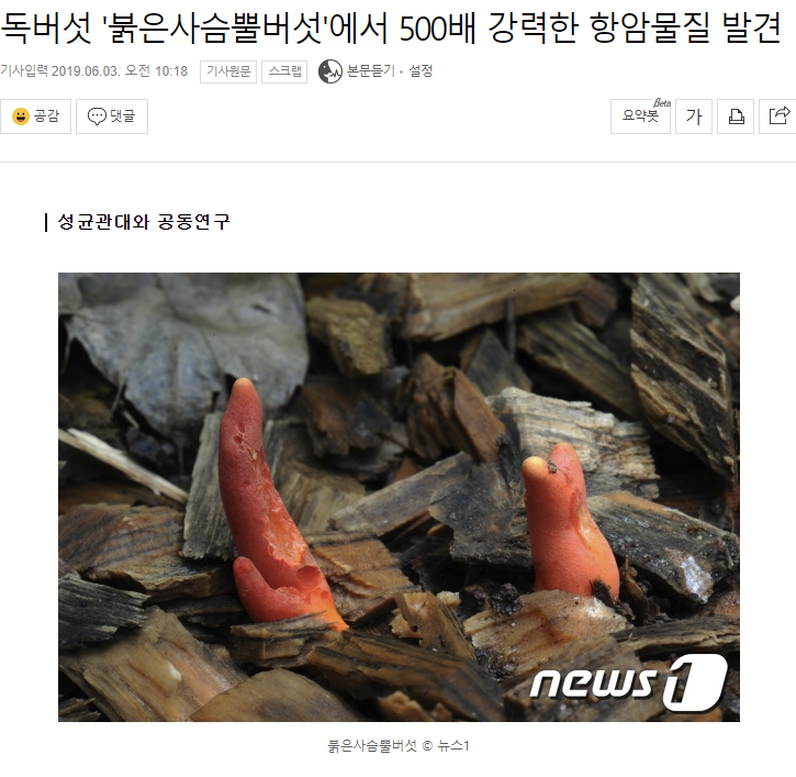 독버섯에서 500배 강력한 항암물질 발견.news.jpg