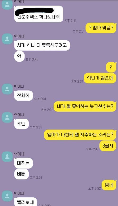 흔한 어머니와 아들의 대화.kakao