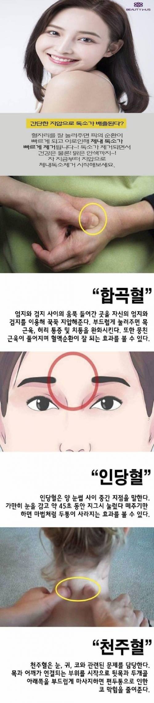 [스압] 해독 버튼.jpg