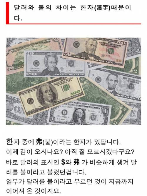 달러를 불이라고 부르는 이유.jpg