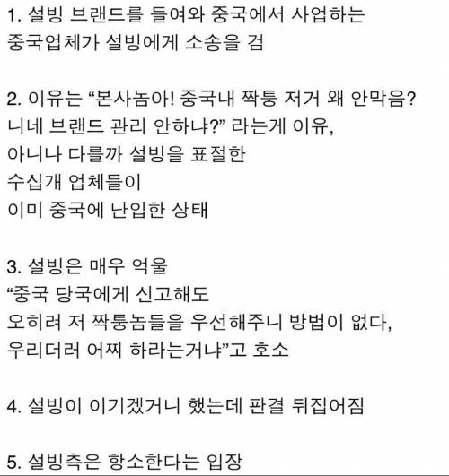 [스압] 중국의 짝퉁 설빙 매장