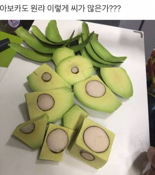 아보카도 처음 먹어봄.jpg