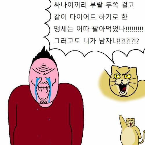 [스압] 고양이랑 같이 다이어트하는 만화.jpg