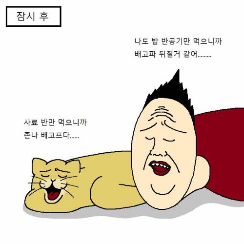 [스압] 고양이랑 같이 다이어트하는 만화.jpg