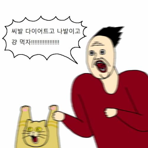 [스압] 고양이랑 같이 다이어트하는 만화.jpg