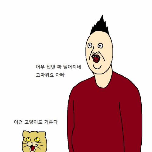 [스압] 고양이랑 같이 다이어트하는 만화.jpg