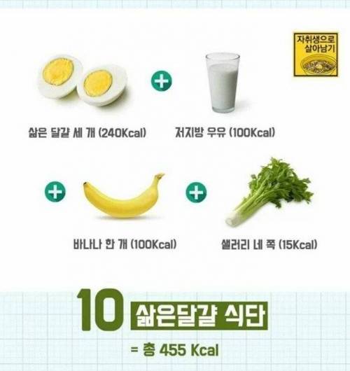 [스압] 500Kcal 다이어트 식단.jpg