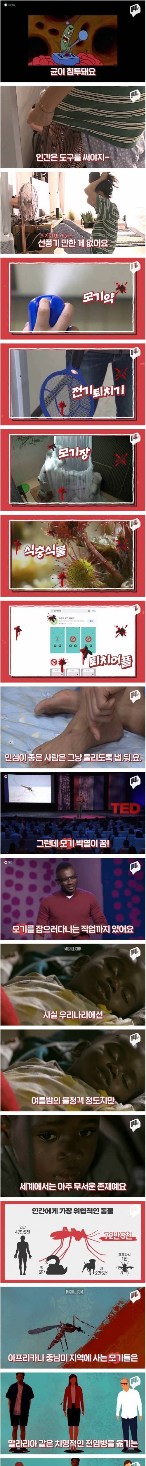 [스압] 모기가 지구상에서 가장 위험한 동물인 이유