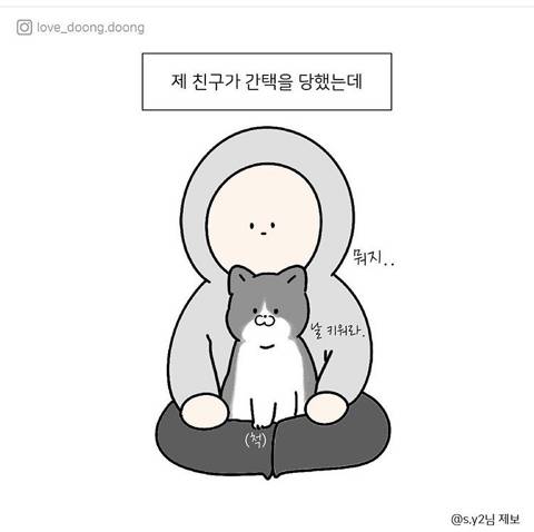 엄마 화장실이 궁금했던 아기고양이.jpg