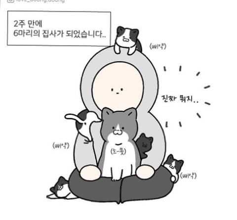 엄마 화장실이 궁금했던 아기고양이.jpg