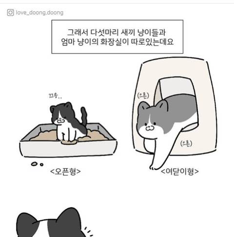 엄마 화장실이 궁금했던 아기고양이.jpg