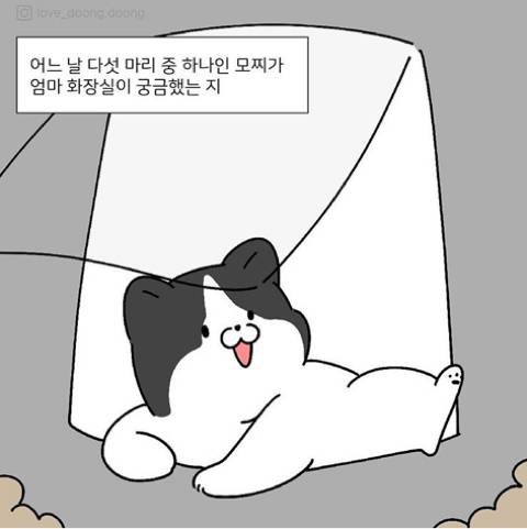 엄마 화장실이 궁금했던 아기고양이.jpg