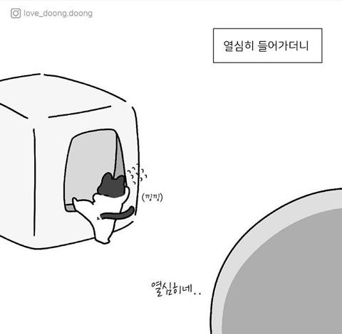 엄마 화장실이 궁금했던 아기고양이.jpg