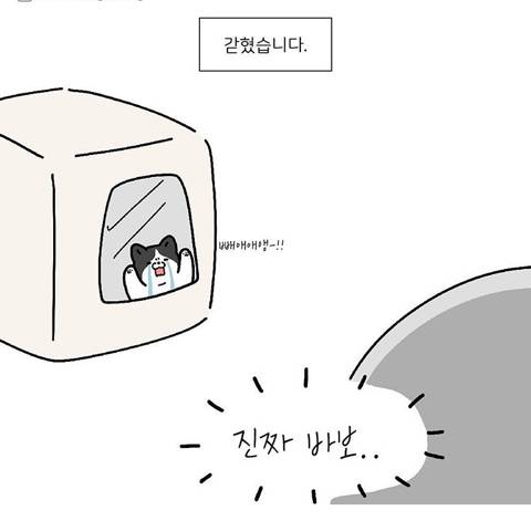 엄마 화장실이 궁금했던 아기고양이.jpg