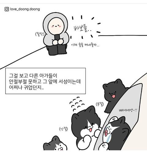 엄마 화장실이 궁금했던 아기고양이.jpg