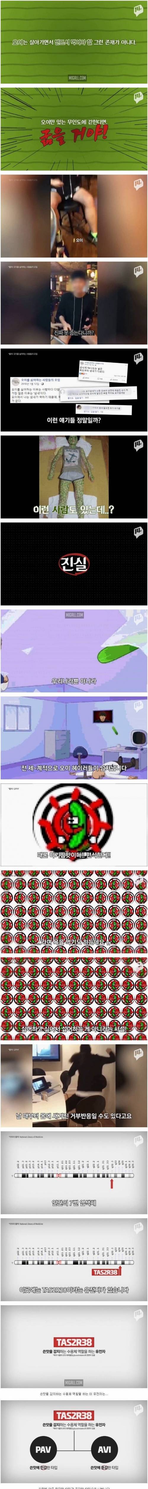 [스압] 오이와 고수를 싫어하는 과학적인 이유.jpg