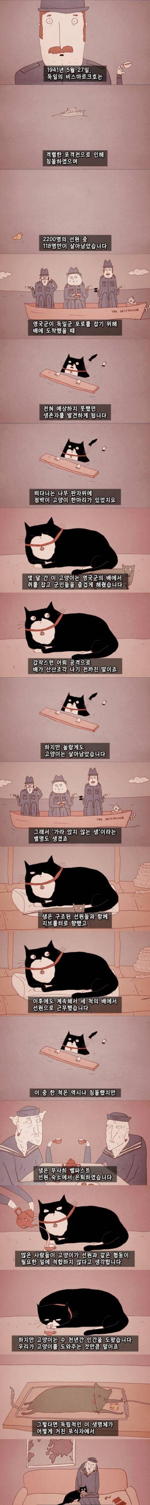 [스압] 고양이의 역사.jpg