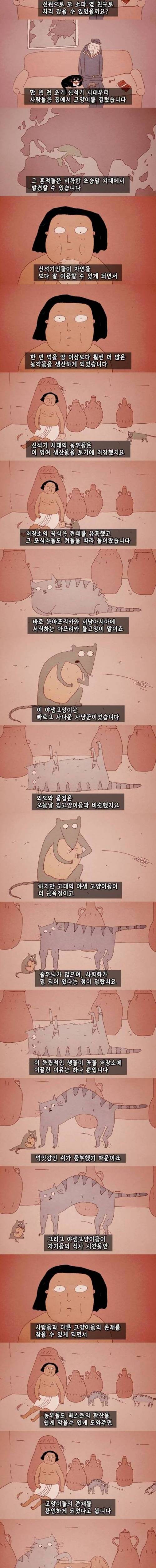 [스압] 고양이의 역사.jpg