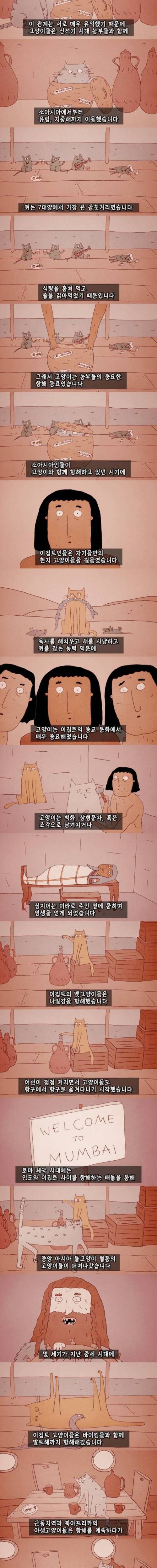 [스압] 고양이의 역사.jpg