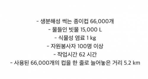 작품 종이컵 66000개.jpg