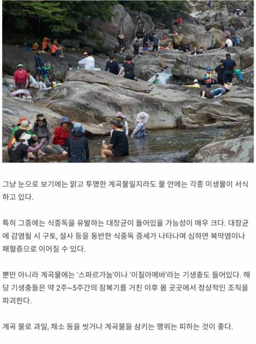 계곡물에 과일 담구는 행위.jpg