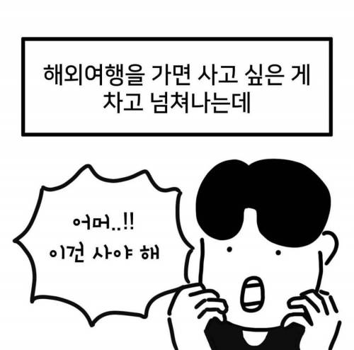 해외여행에서 지름신이 왔을때 기억해야 할 것.jpg