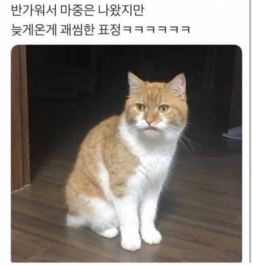 시간이 몇신데 이제 들어와?!.jpg