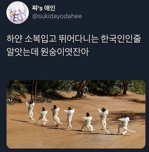 폴짝폴짝 뛰어노는 선비들.jpg