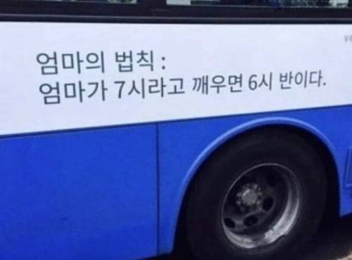 엄마의 법칙.jpg